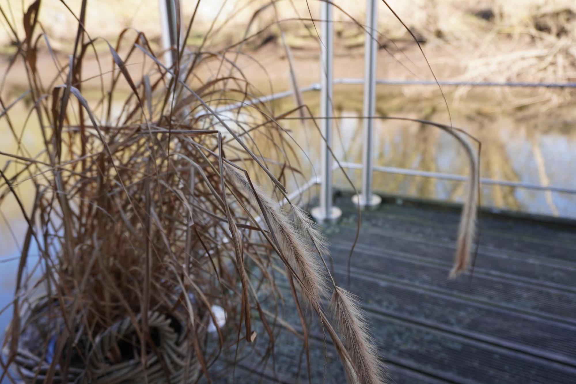 Villa Hausboot Stoeckte Winsen  Exterior foto